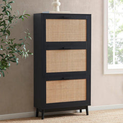 Canora Shoe Cabinet