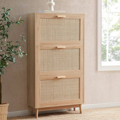 Canora Shoe Cabinet