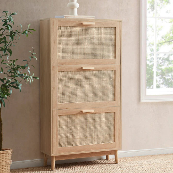 Canora Shoe Cabinet