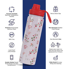 Insulated Water Bottle 650 ML