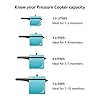 HAWKINS Rubber Gasket Sealing Ring for 2-4 L Pressure Cookers (Black) - Set of 2