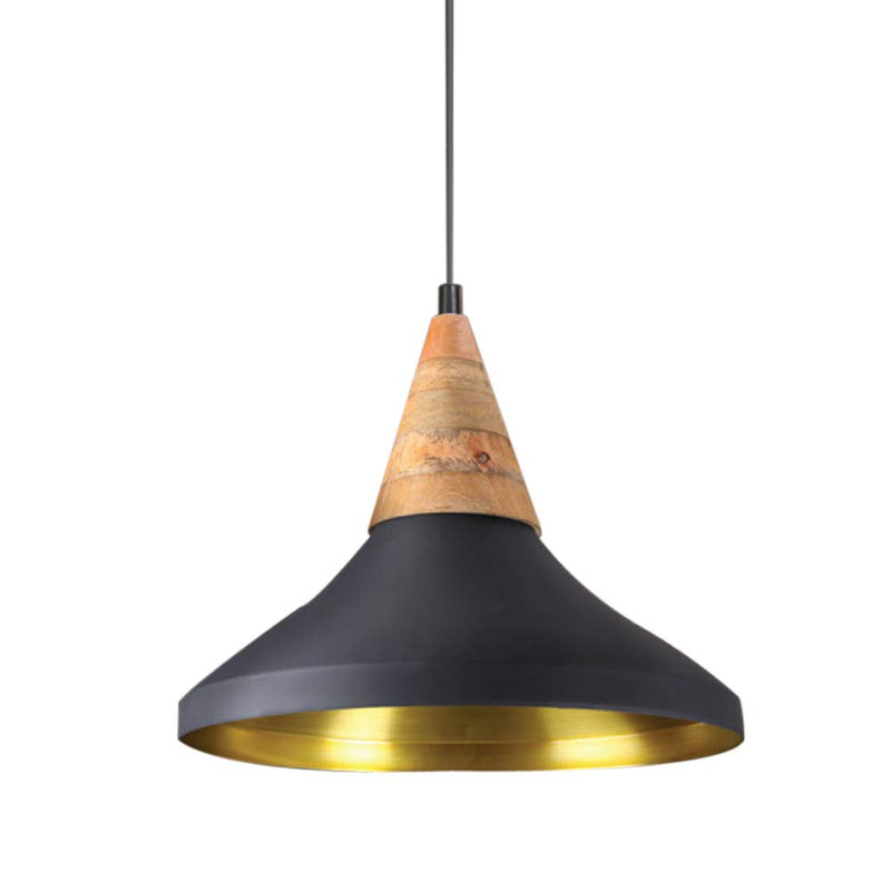 Philips 40W Pendant Light (Black)
