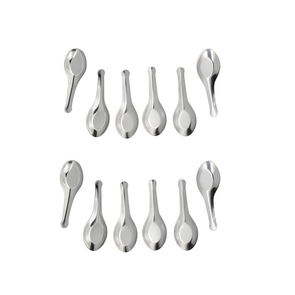 Dynore Stainless Steel Set of 12 Heavy Spoon for Small Containers/Mini Spoon for Masala Dabba Spices Spoons for Home/Kitchen, Silver