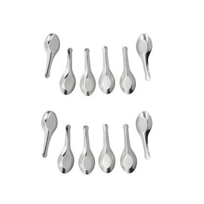 Dynore Stainless Steel Set of 12 Heavy Spoon for Small Containers/Mini Spoon for Masala Dabba Spices Spoons for Home/Kitchen, Silver