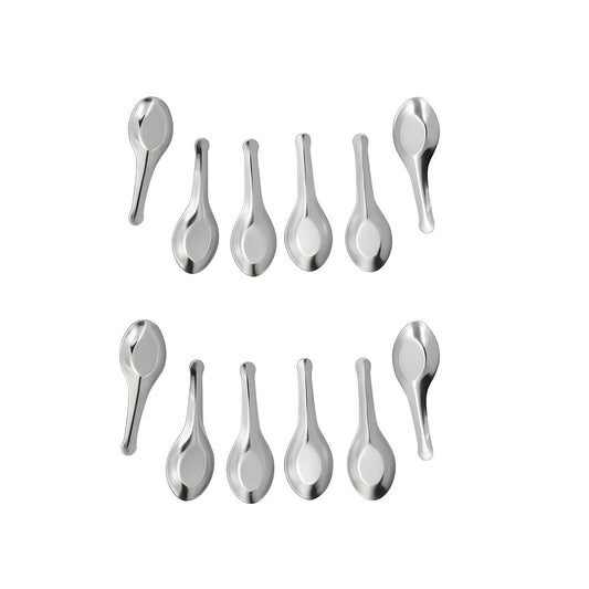 Dynore Stainless Steel Set of 12 Heavy Spoon for Small Containers/Mini Spoon for Masala Dabba Spices Spoons for Home/Kitchen, Silver