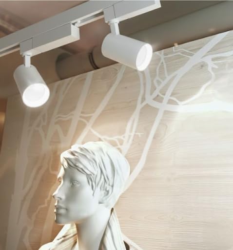 Philips 30W LED Track Light (White, B0FT8RHJGH)