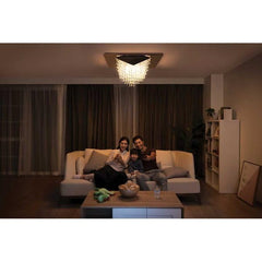 Philips 581850 Cameo Crystal Stainless Steel Chrome Chandelier