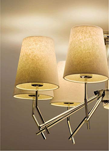 Philips 45603/11/66 24-Watt Suspension Light (Chrome and Metal)