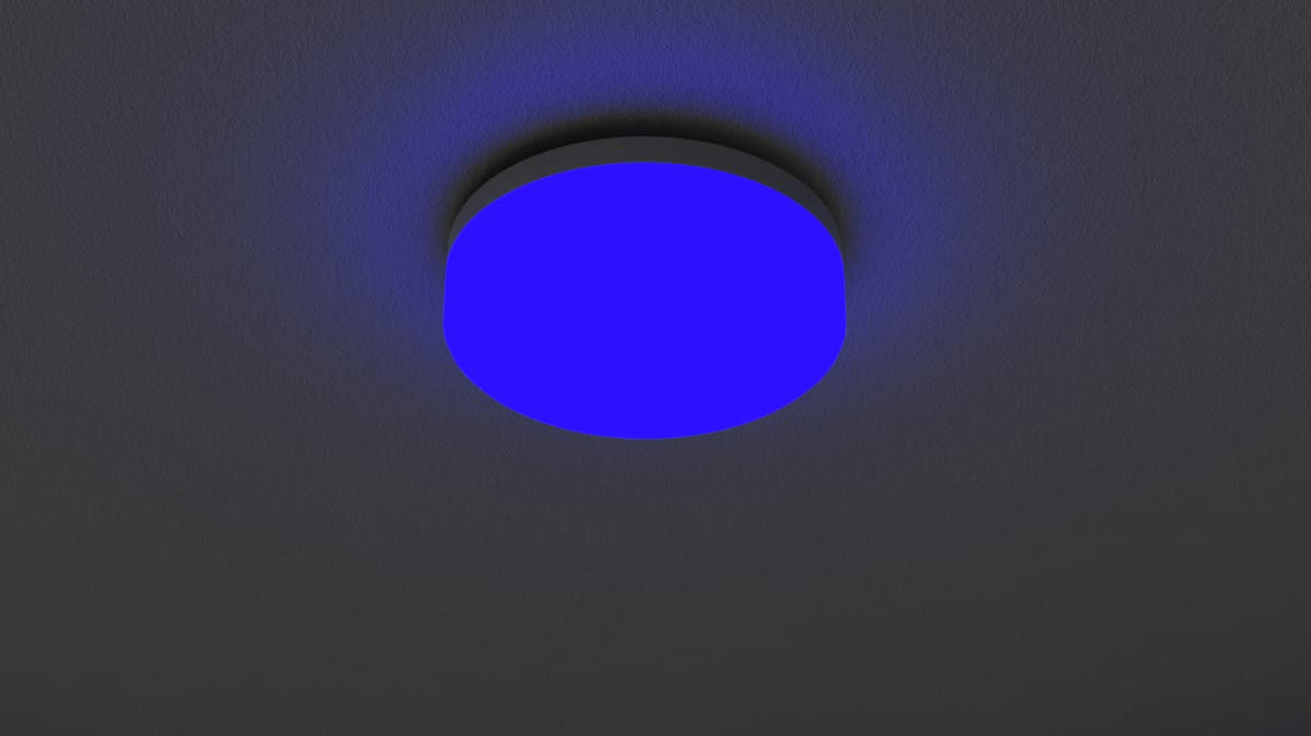 Philips Rimless Full Glow 6-Watt Round LED Surface Downlighter for Ceiling (Pack of 6)