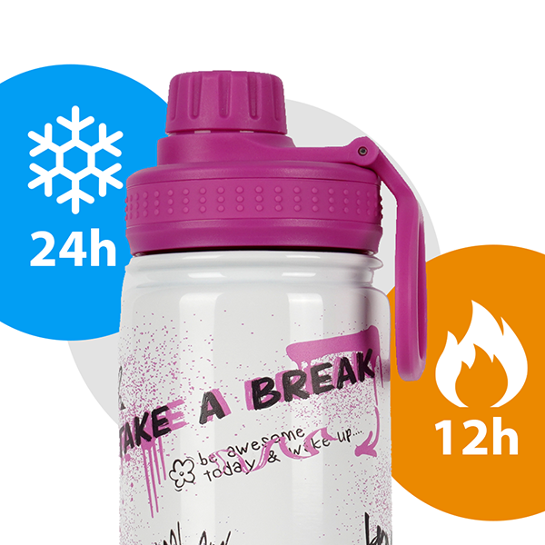 Insulated Water Bottle 650 ML