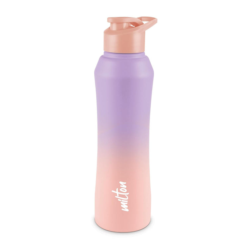 Comet Stainless Steel Bottle (Milton)