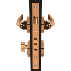 Plantex Premium Door Lock with 3 Years of Warranty/Main Door Locks for Home/Mortise Lock Set for Home (7106 - PVD Choco)-3
