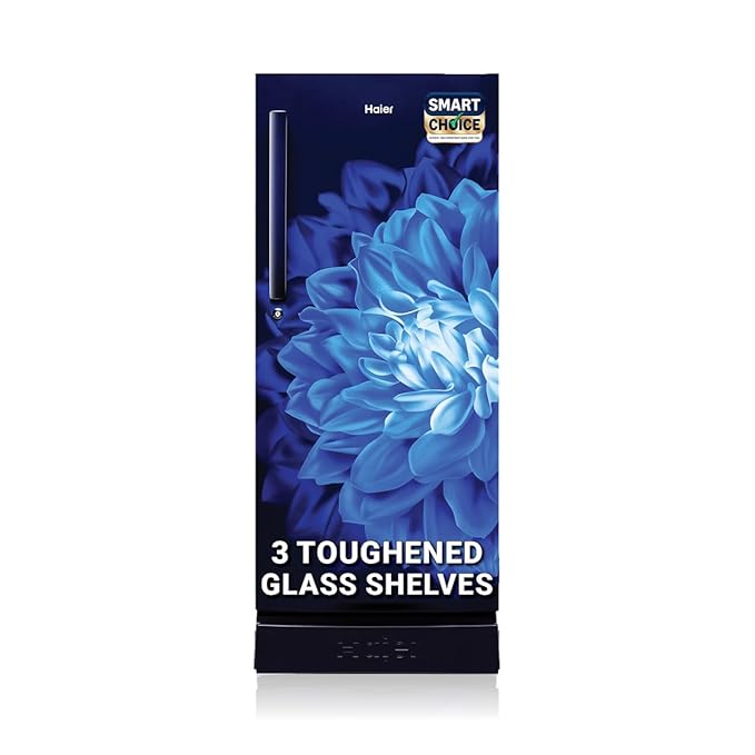 Haier SmartChoice 190 L, 4 Star, Direct-Cool Single Door Refrigerator (HED-204MDB, Marine Dahelia, Base Stand Drawer)