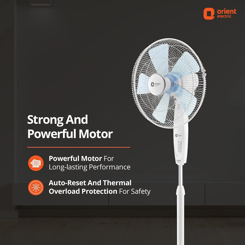 Wind Pro Stand 400 MM High Velocity Pedestal Fan (Snow White)
