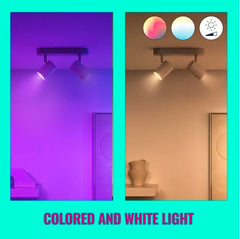 Philips 15W WiFi LED Spot Light IP44 Rose Gold