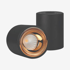 Philips 10W Up-Down LED Surface Wall Light (Cool Day Light, B0FP28T8SF)