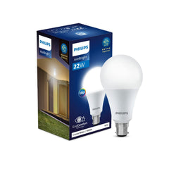 Philips 22-watt LED Bulb - AceBright High Wattage LED Bulb (Pack of 2)