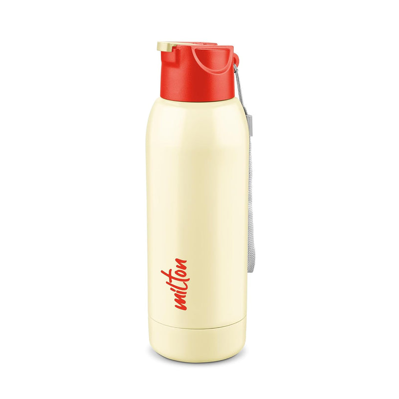 Steel Swag Insulated Water Bottle (Milton)