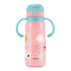 Fountain Stainless Steel Bottle (Milton)