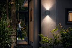 Philips Gamma 2 Watts LED Outdoor Wall Lamp - Grey 58159