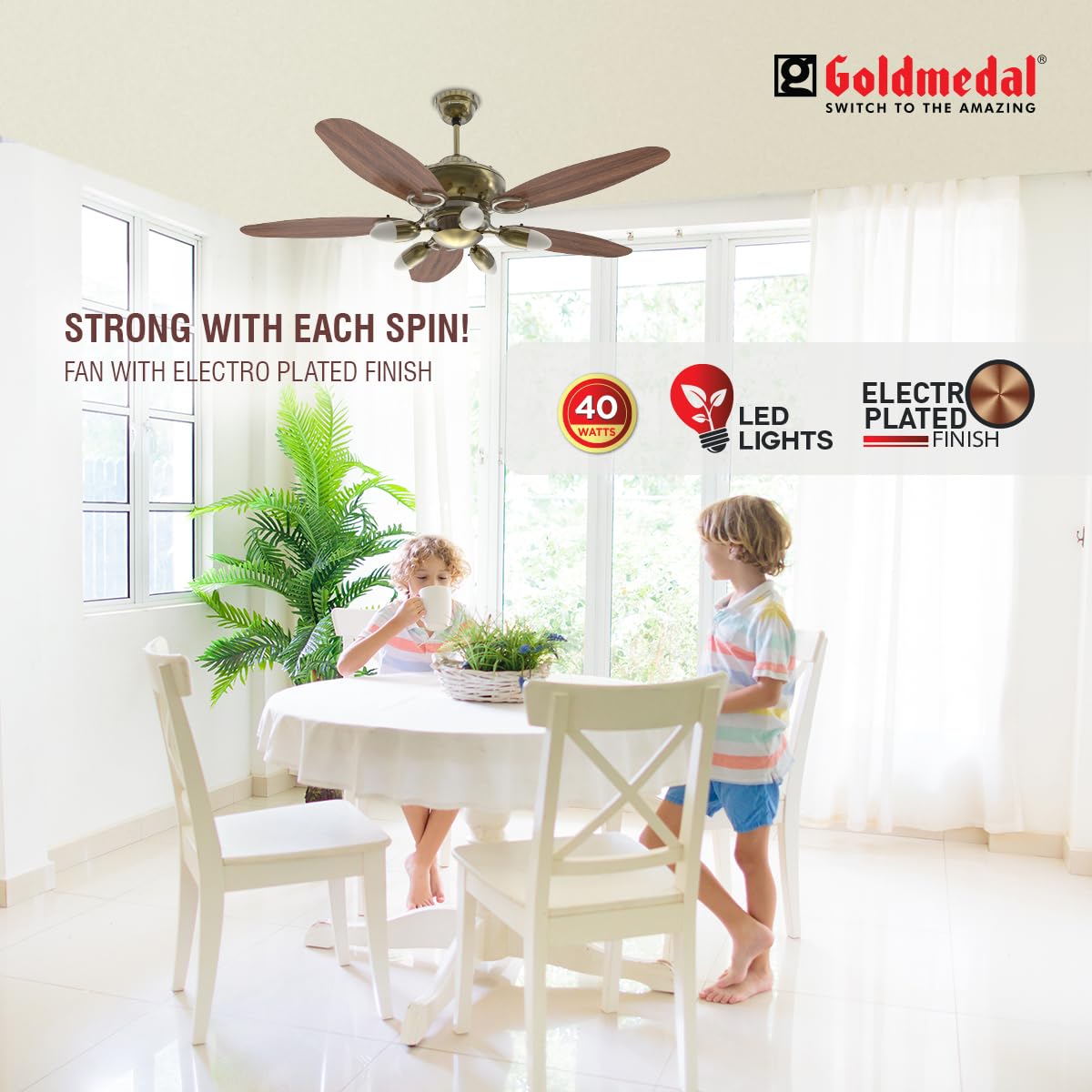 Goldmedal Daisy 5 Blade 1200 mm Decorative Ceiling Fan with Lampshades (Brass Darkwood)