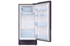 Samsung 189 L, 5 Star, Digital Inverter, Direct-Cool Single Door Refrigerator (RR21H2H259R/HL, Paradise Bloom Red, Base Stand Drawer, Single Touch)-4