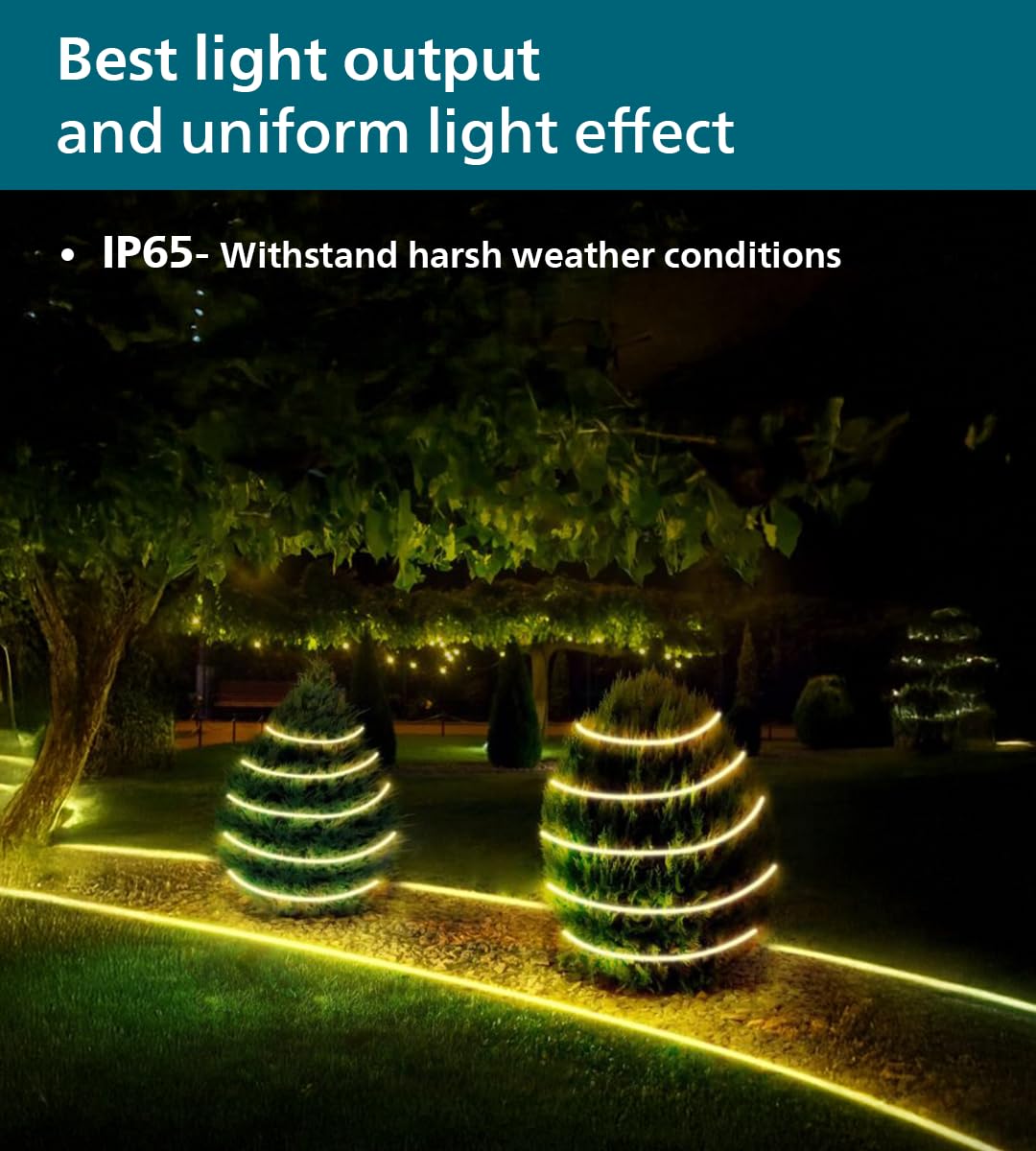 Philips Marathon LED Rope Light 50 Meter, 72 LEDs/M (57811-ww)