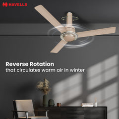 Havells CERA BLDC 1200 mm Premium Underlight Ceiling Fan with Remote (Champagne)-5