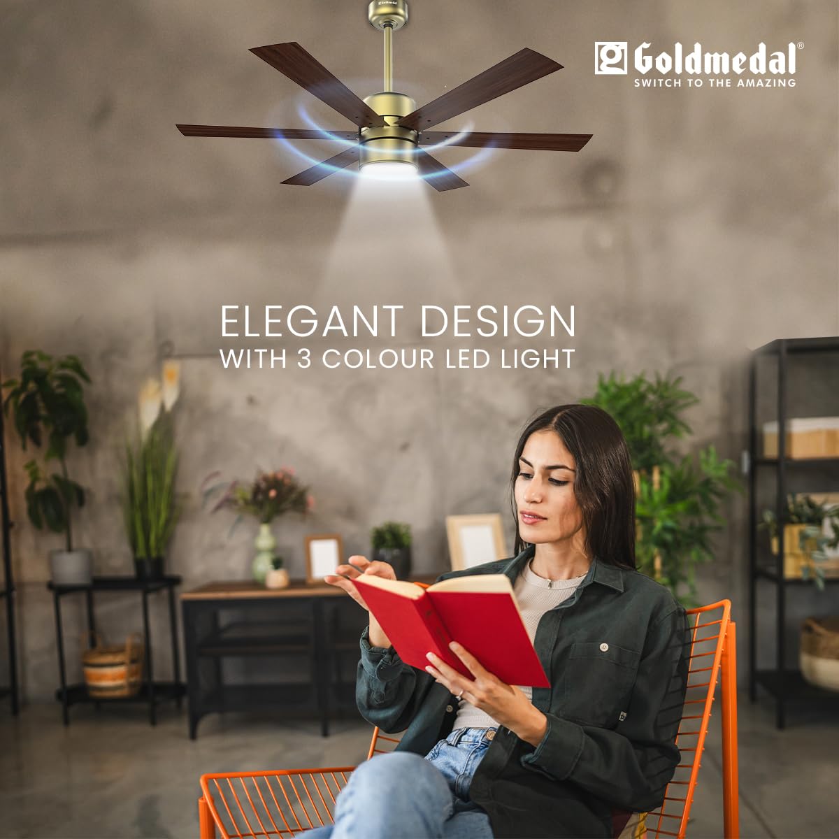 Goldmedal Phantom 6 Blade 1200 mm Ceiling Fan with Underlight & Remote (Brass Dark Wood)-5