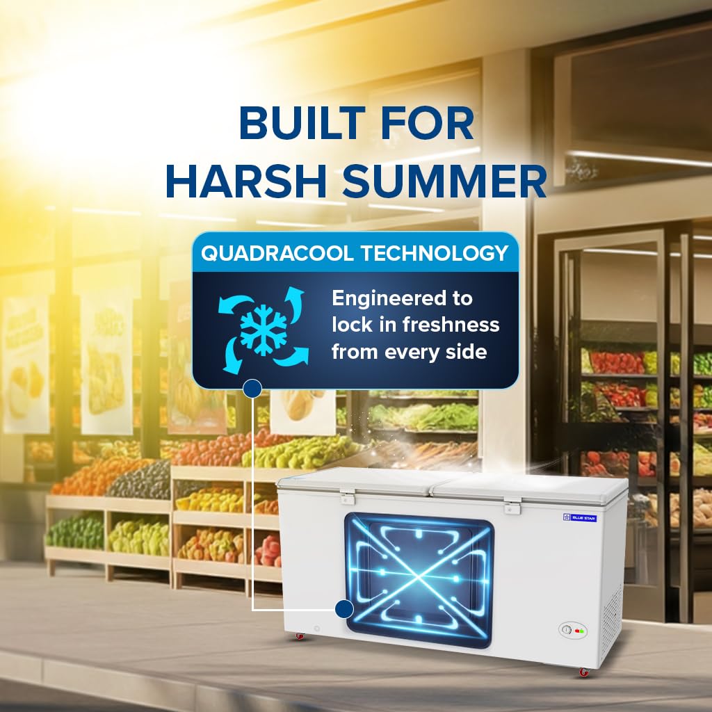 Blue Star HT4-N575, 575 Liter Hard Top Double Door Deep Freezer (515 Liter, White, 4-star)-3