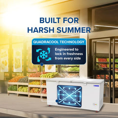 Blue Star HT4-N575, 575 Liter Hard Top Double Door Deep Freezer (515 Liter, White, 4-star)-3