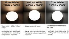 Philips 5W LED Tubelight, Cool White 919515813930_1