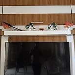 Panasonic 108 cm (43 inches) 4K Ultra HD Smart LED Google TV TH-43MX660DX (Black)