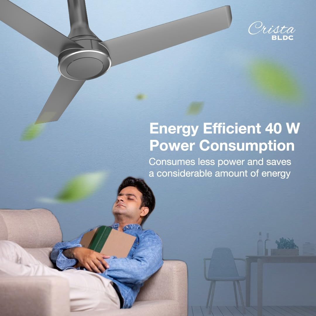 Havells 1200mm Crista BLDC Motor Ceiling Fan | Premium Finish with RF Remote, 100% Copper, Upto 60% Energy Saving | Low Noise: 55dB, 2 Year Warranty, Dust Resistant | (Pack of 1, Slate)