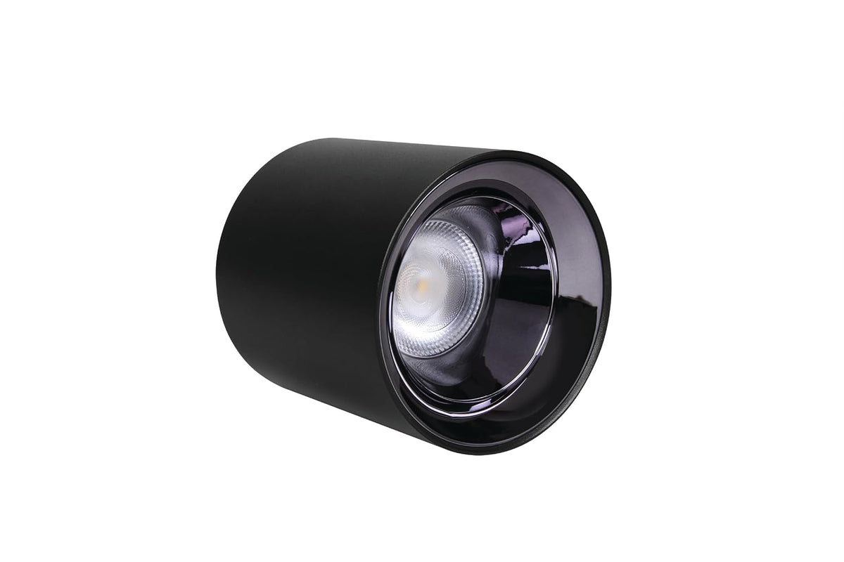 Philips 10-Watt LED Surface Spot Light