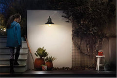 Philips Cormorant Wall Light IP54 Outdoor Wall Light