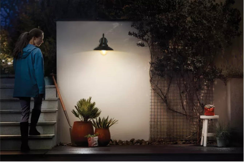 Philips Cormorant Wall Light IP54 Outdoor Wall Light