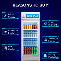 Blue Star VC325 5 Star Frost Free Vertical Glass Single Door Visi Cooler (300L, white)