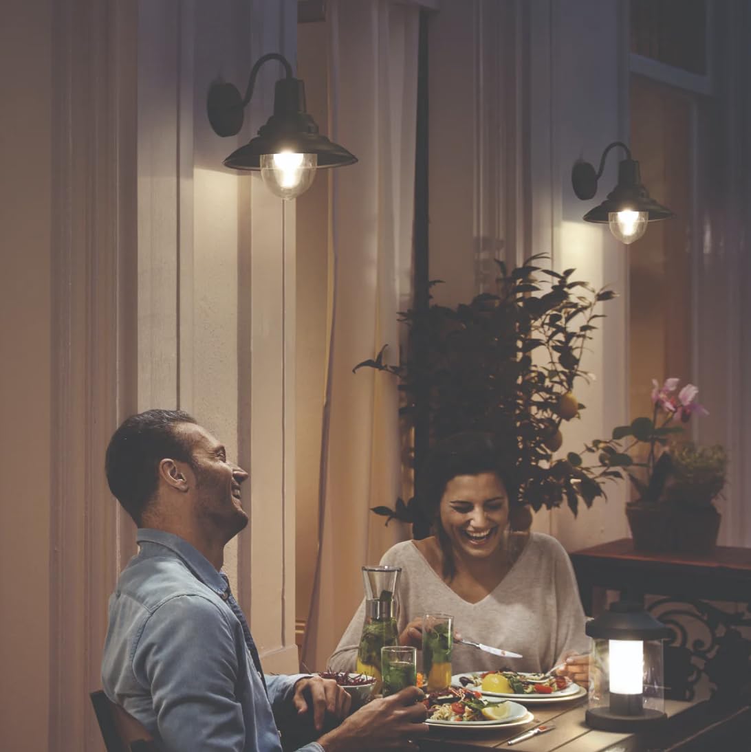 Philips Cormorant Wall Light IP54 Outdoor Wall Light