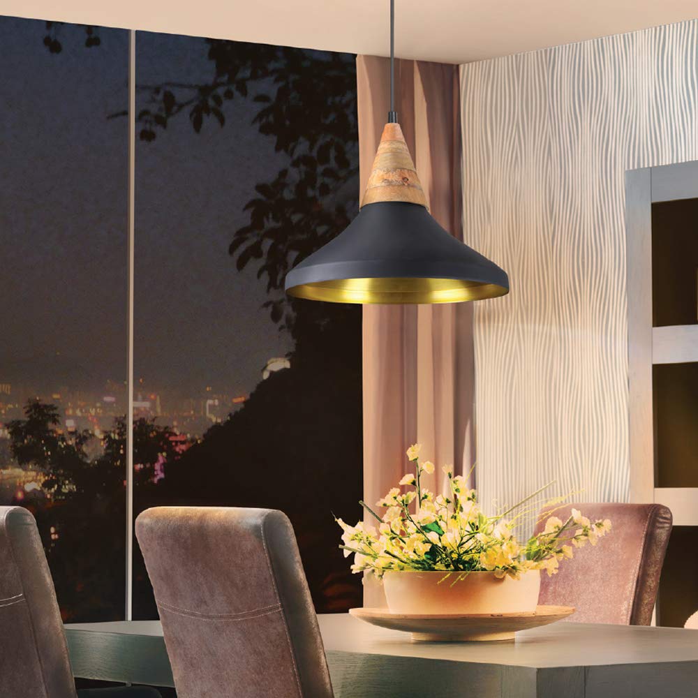 Philips 40W Pendant Light (Black)