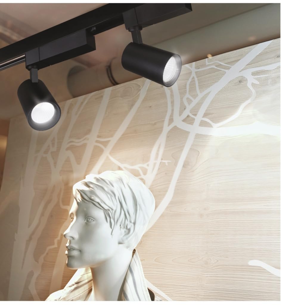 Philips 20W LED Track Light