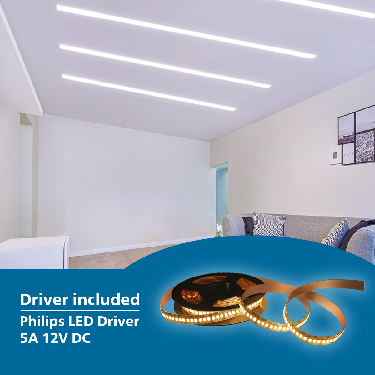 Philips 5-Meter LED Profile Light With Driver (Pack of 4)