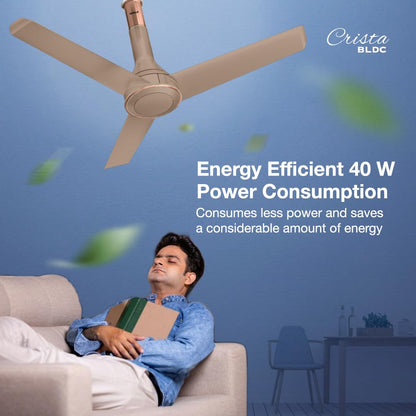 Havells 1200mm Crista Bldc Motor Ceiling Fan|Premium Finish With Rf Remote,100% Copper,Upto 60% Energy Saving|Low Noise: 55Db,2 Year Warranty,Dust Resistant|(Pack Of 1,Champagne Cola),4 stars