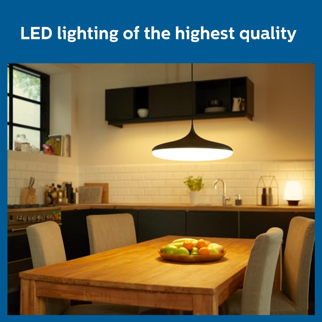 Philips 18-watt LED Bulb - AceBright High Wattage LED Bulb