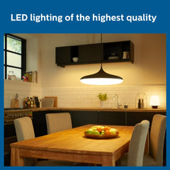 Philips 12-watt LED Bulb - AceBright High Wattage LED Bulb (Pack of 2) (Golden Yellow, B0C3RJMZ4K)