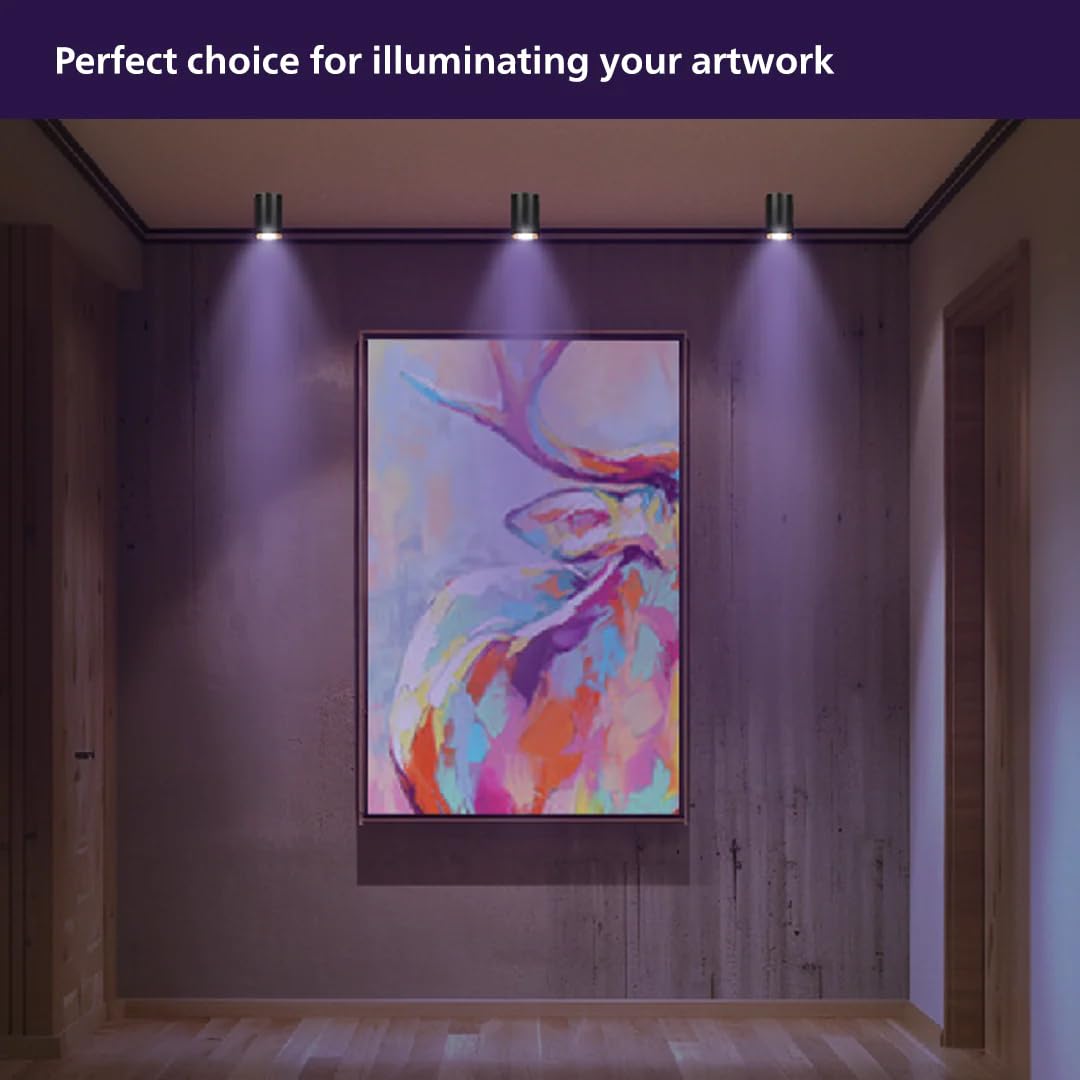 Philips 10W Up-Down LED Surface Wall Light (Cool Day Light, B0FP28T8SF)