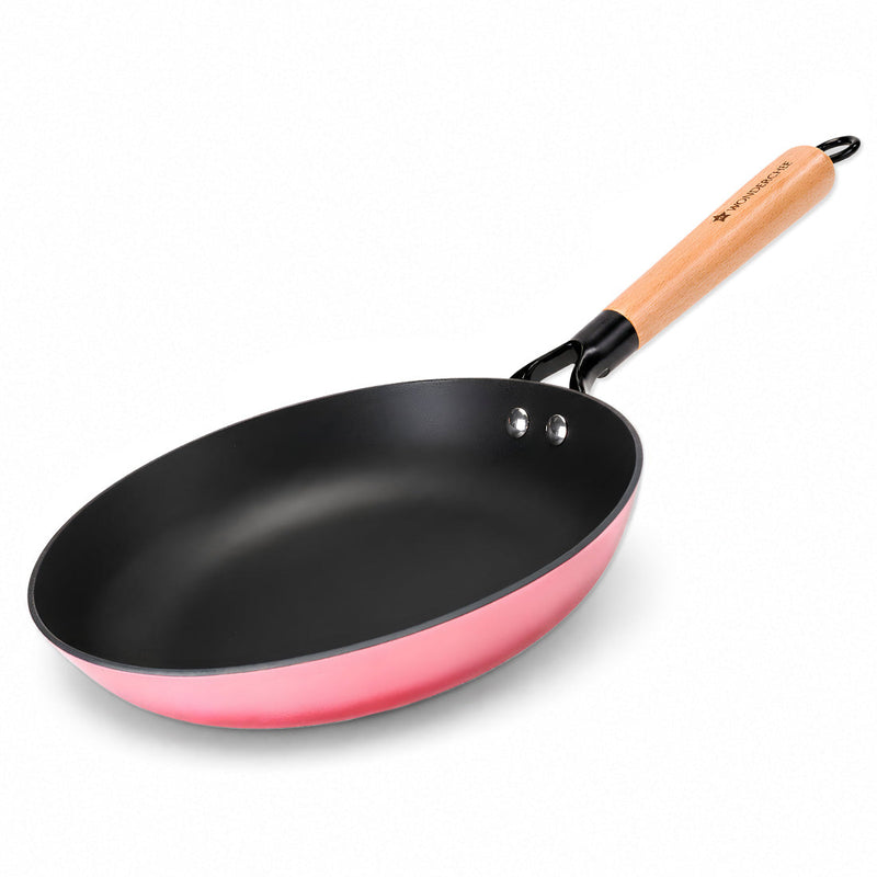 Wonderchef Ferro Enamel Light-weight Cast-iron Fry Pan, 24cm, No Seasoning Required, TitaniumShield Non-toxic Chemical-f
