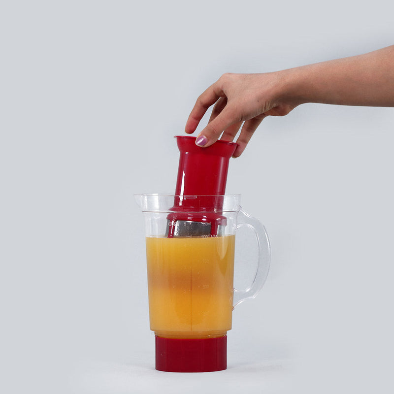 Wonderchef Nutri-blend B - Juicer Filter (Red)