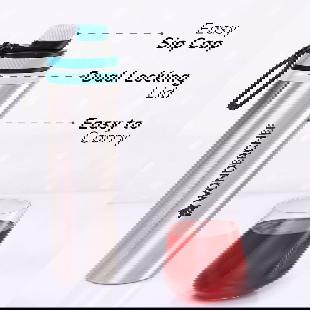 Nutri-cup Portable Blender + Sippy Stainless Steel Bottle, Gift Combo, For Family and Friends, Gift for Diwali and Other Festivals, House Warming