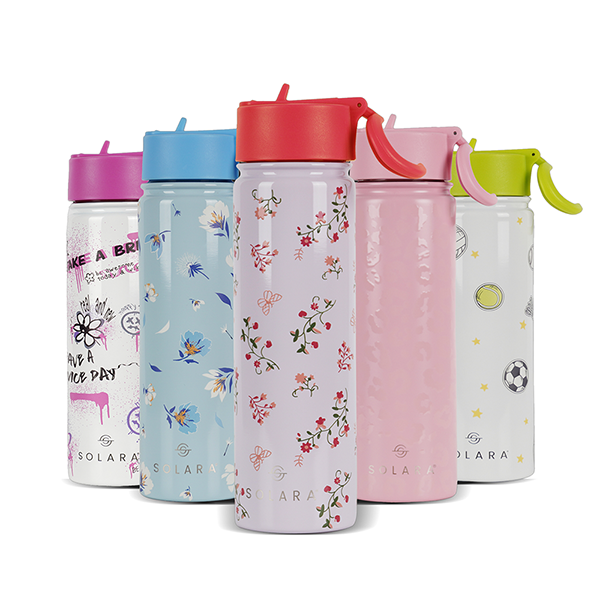 Insulated Water Bottle 650 ML